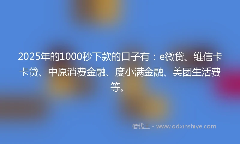 2025年的1000秒下款的口子有：e微贷、维信卡卡贷、中原消费金融、度小满金融、美团生活费等。