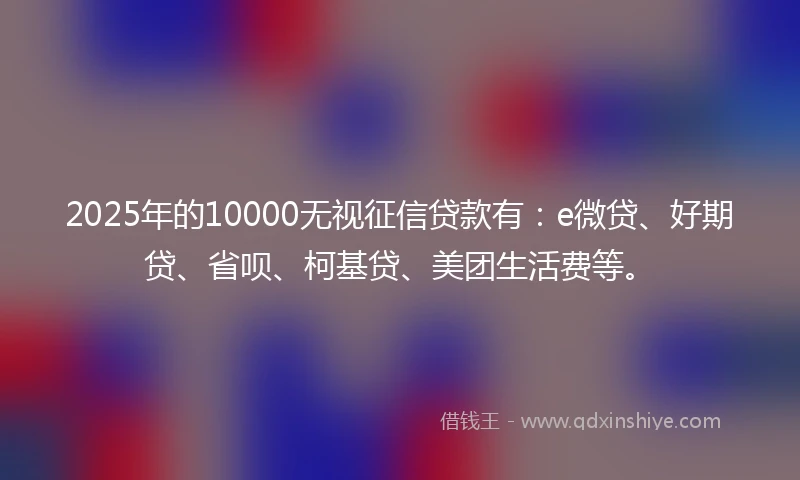 2025年的10000无视征信贷款有：e微贷、好期贷、省呗、柯基贷、美团生活费等。