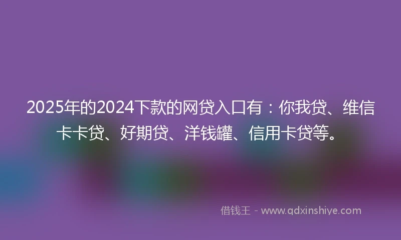 2025年的2024下款的网贷入口有：你我贷、维信卡卡贷、好期贷、洋钱罐、信用卡贷等。