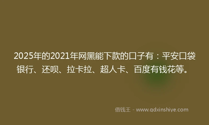 2025年的2021年网黑能下款的口子有：平安口袋银行、还呗、拉卡拉、超人卡、百度有钱花等。