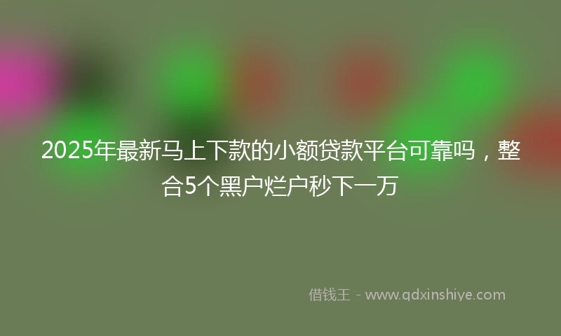 2025年最新马上下款的小额贷款平台可靠吗，整合5个黑户烂户秒下一万