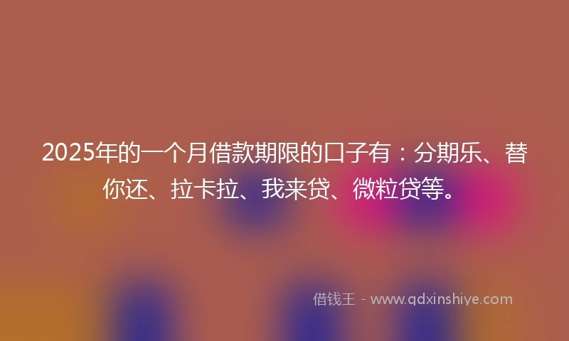 2025年的一个月借款期限的口子有：分期乐、替你还、拉卡拉、我来贷、微粒贷等。