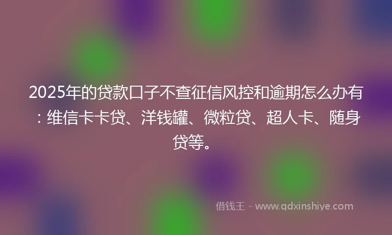 2025年的贷款口子不查征信风控和逾期怎么办有：维信卡卡贷、洋钱罐、微粒贷、超人卡、随身贷等。
