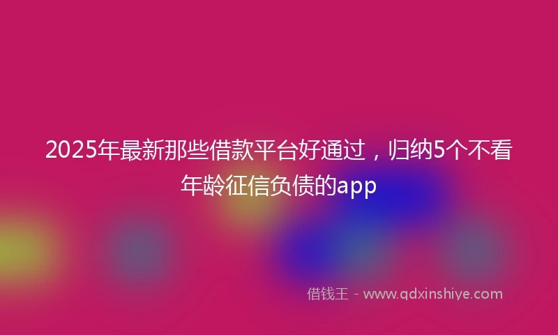 2025年最新那些借款平台好通过，归纳5个不看年龄征信负债的app