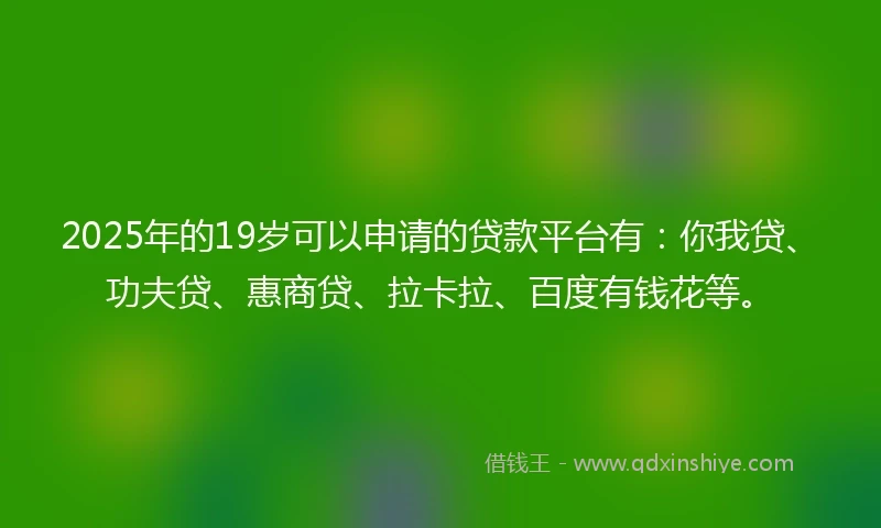2025年的19岁可以申请的贷款平台有：你我贷、功夫贷、惠商贷、拉卡拉、百度有钱花等。