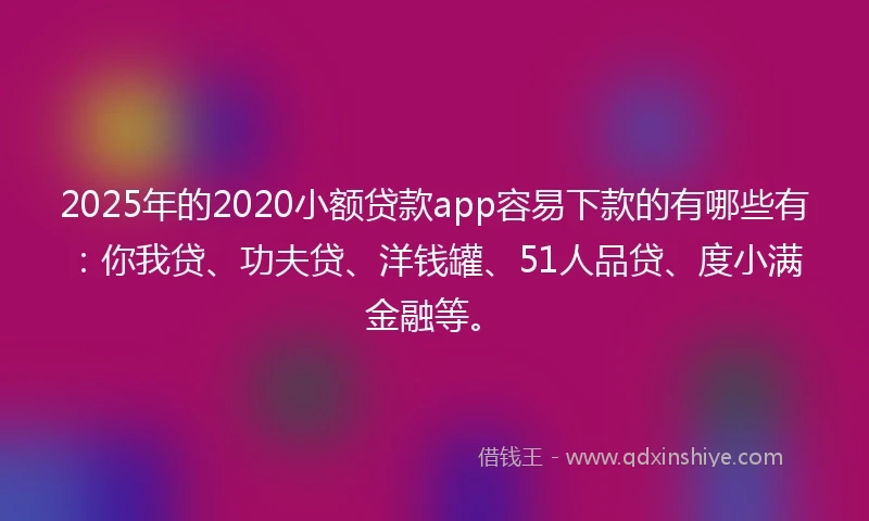 2025年的2020小额贷款app容易下款的有哪些有：你我贷、功夫贷、洋钱罐、51人品贷、度小满金融等。