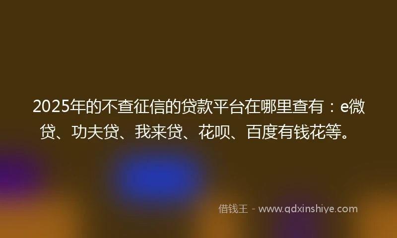 2025年的不查征信的贷款平台在哪里查有：e微贷、功夫贷、我来贷、花呗、百度有钱花等。