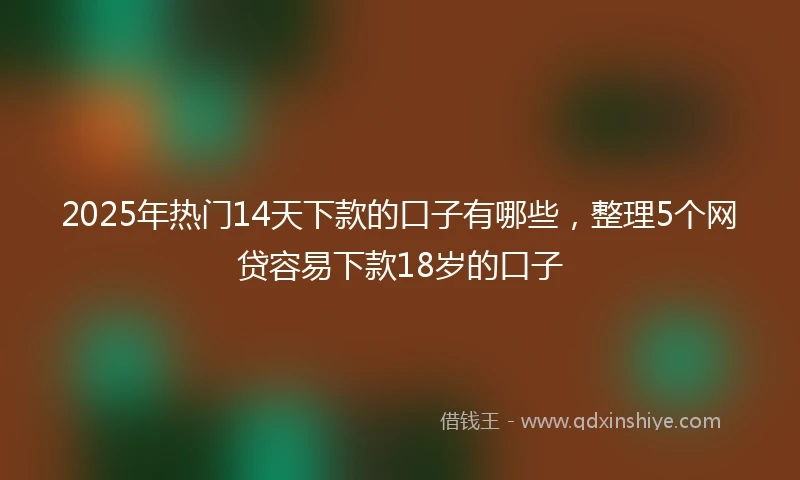 2025年热门14天下款的口子有哪些，整理5个网贷容易下款18岁的口子