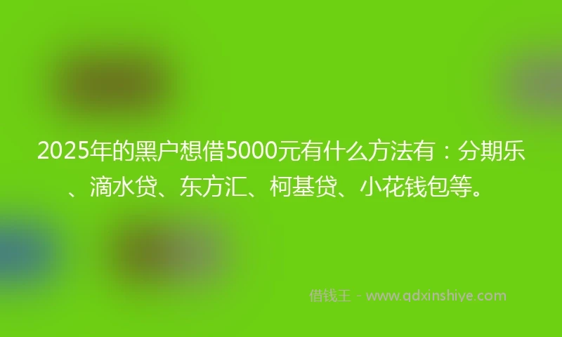 2025年的黑户想借5000元有什么方法有：分期乐、滴水贷、东方汇、柯基贷、小花钱包等。