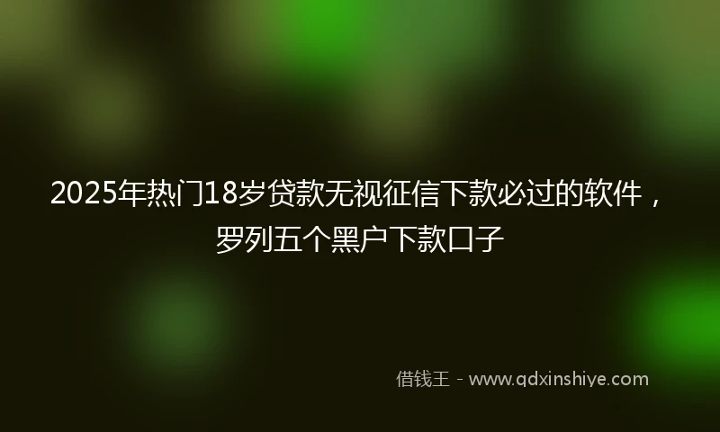 2025年热门18岁贷款无视征信下款必过的软件，罗列五个黑户下款口子