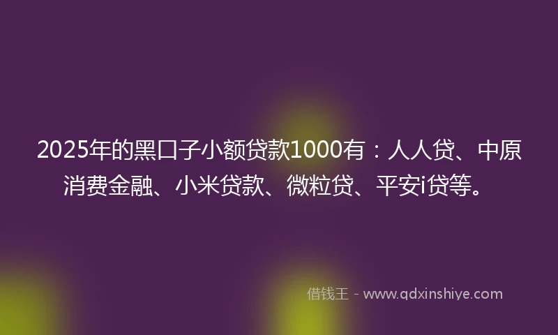 2025年的黑口子小额贷款1000有：人人贷、中原消费金融、小米贷款、微粒贷、平安i贷等。