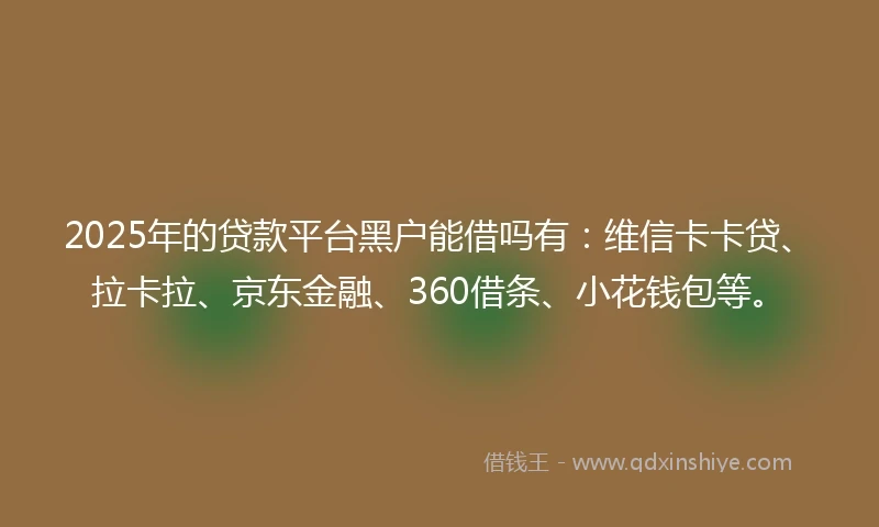 2025年的贷款平台黑户能借吗有：维信卡卡贷、拉卡拉、京东金融、360借条、小花钱包等。