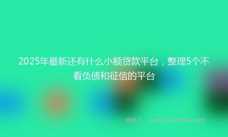 2025年最新还有什么小额贷款平台，整理5个不看负债和征信的平台