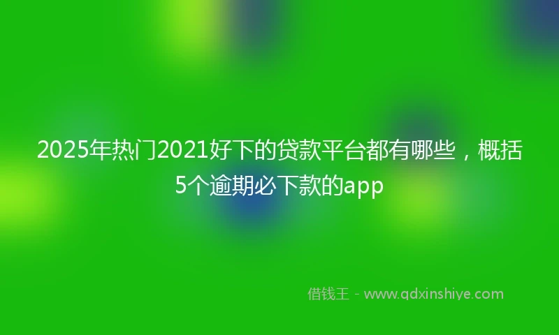 2025年热门2021好下的贷款平台都有哪些，概括5个逾期必下款的app