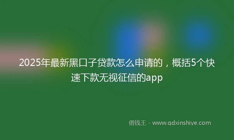 2025年最新黑口子贷款怎么申请的，概括5个快速下款无视征信的app