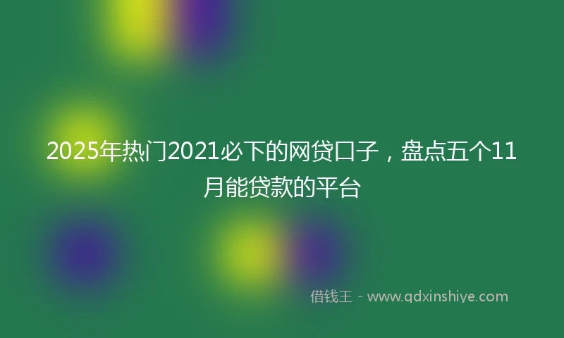 2025年热门2021必下的网贷口子，盘点五个11月能贷款的平台
