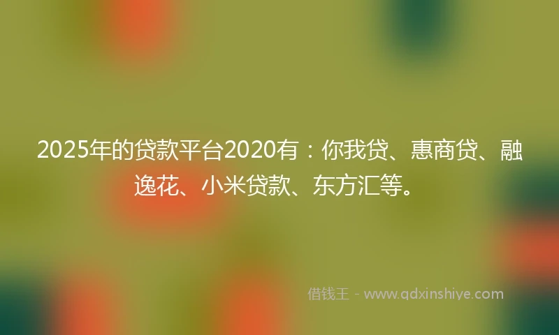 2025年的贷款平台2020有：你我贷、惠商贷、融逸花、小米贷款、东方汇等。