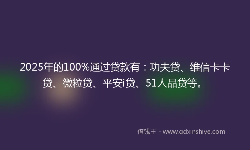 2025年的100%通过贷款有：功夫贷、维信卡卡贷、微粒贷、平安i贷、51人品贷等。