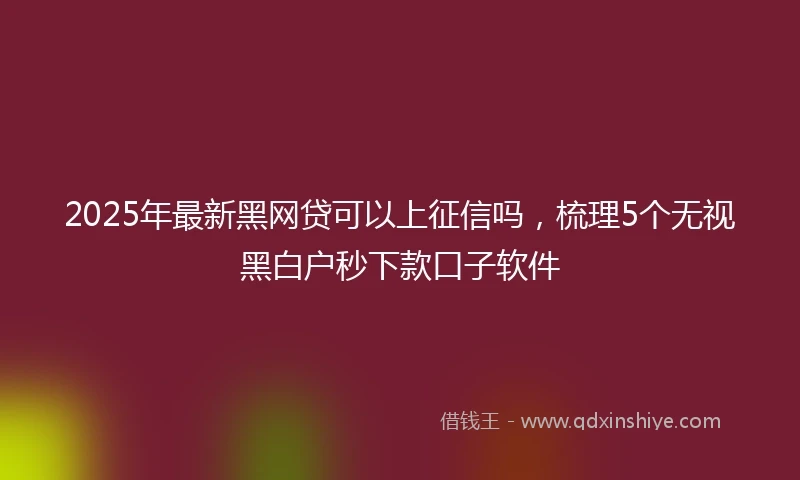 2025年最新黑网贷可以上征信吗，梳理5个无视黑白户秒下款口子软件