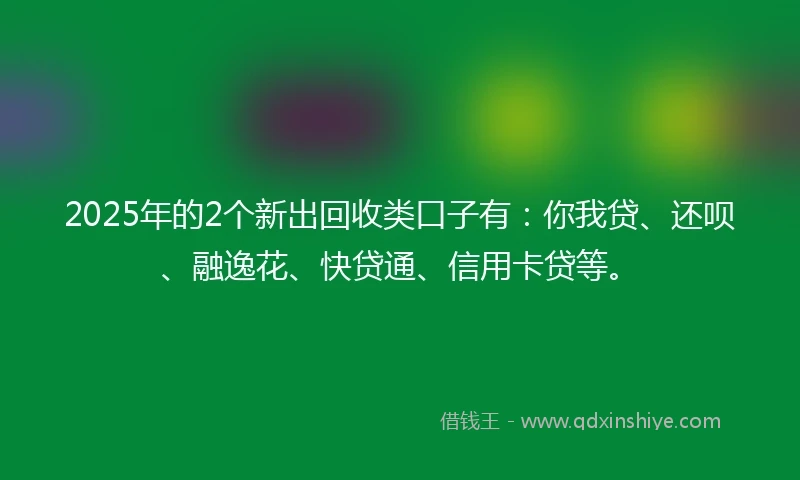 2025年的2个新出回收类口子有：你我贷、还呗、融逸花、快贷通、信用卡贷等。