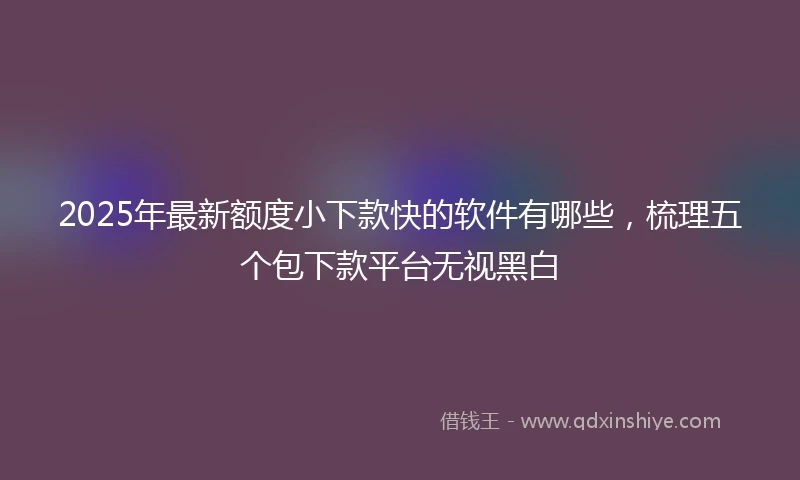 2025年最新额度小下款快的软件有哪些，梳理五个包下款平台无视黑白