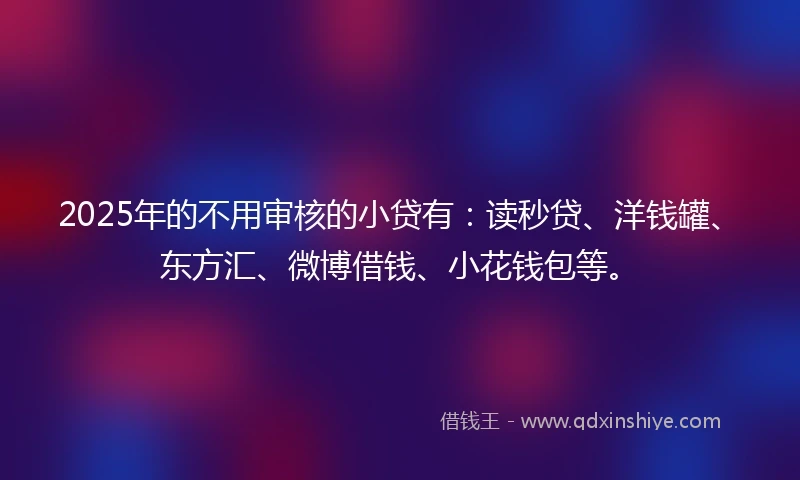 2025年的不用审核的小贷有：读秒贷、洋钱罐、东方汇、微博借钱、小花钱包等。