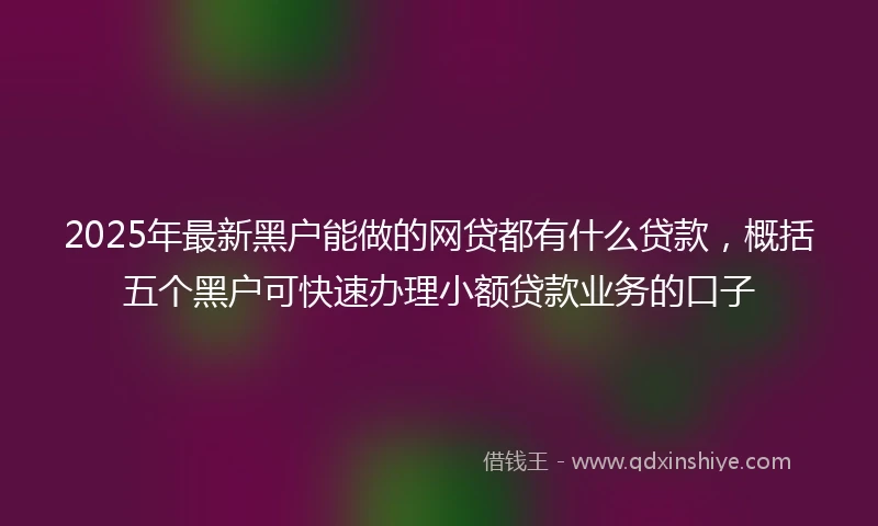 2025年最新黑户能做的网贷都有什么贷款，概括五个黑户可快速办理小额贷款业务的口子