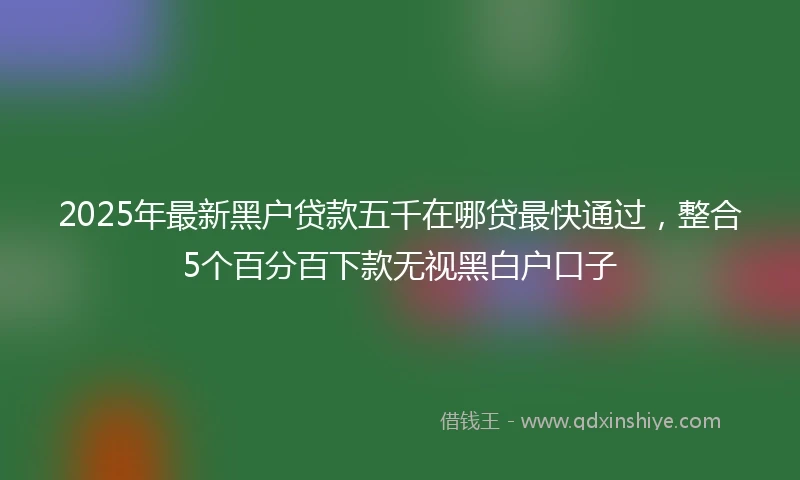2025年最新黑户贷款五千在哪贷最快通过，整合5个百分百下款无视黑白户口子