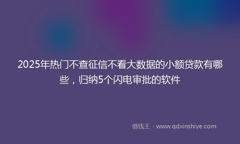 2025年热门不查征信不看大数据的小额贷款有哪些，归纳5个闪电审批的软件