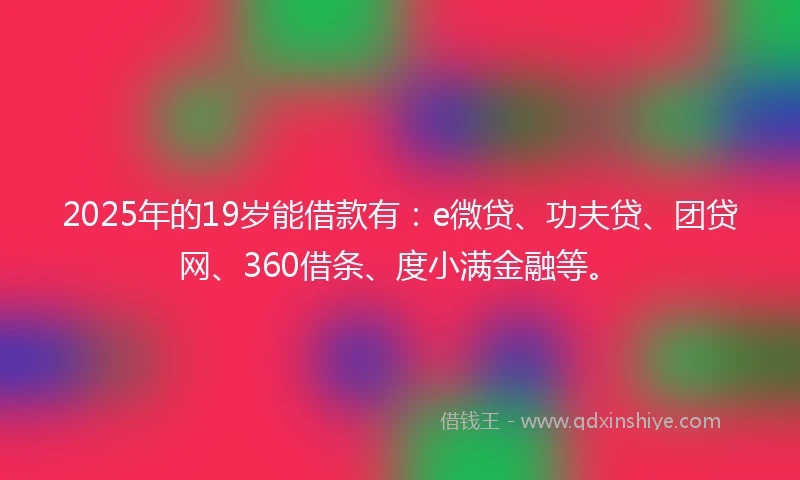 2025年的19岁能借款有：e微贷、功夫贷、团贷网、360借条、度小满金融等。