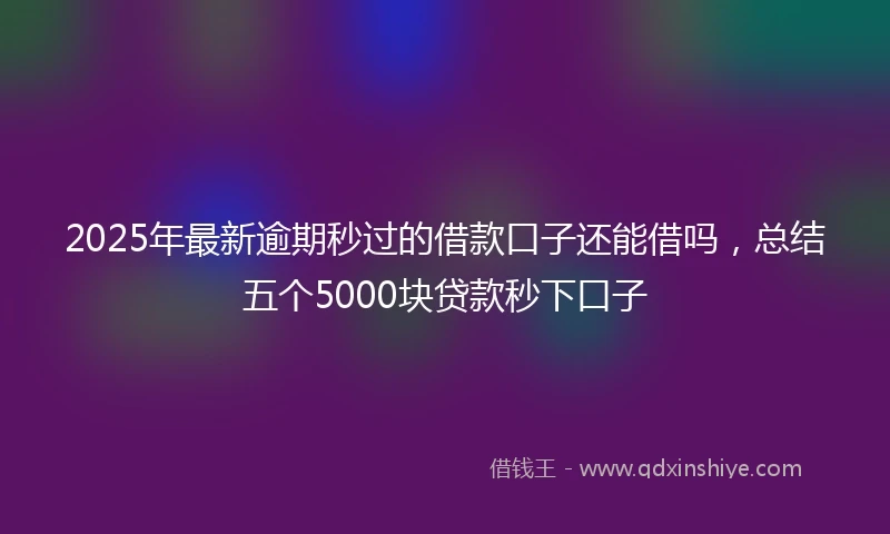 2025年最新逾期秒过的借款口子还能借吗，总结五个5000块贷款秒下口子