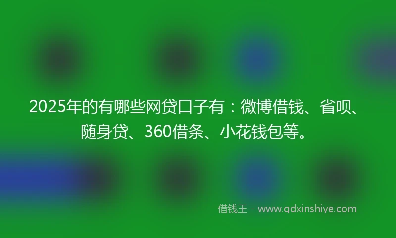 2025年的有哪些网贷口子有：微博借钱、省呗、随身贷、360借条、小花钱包等。