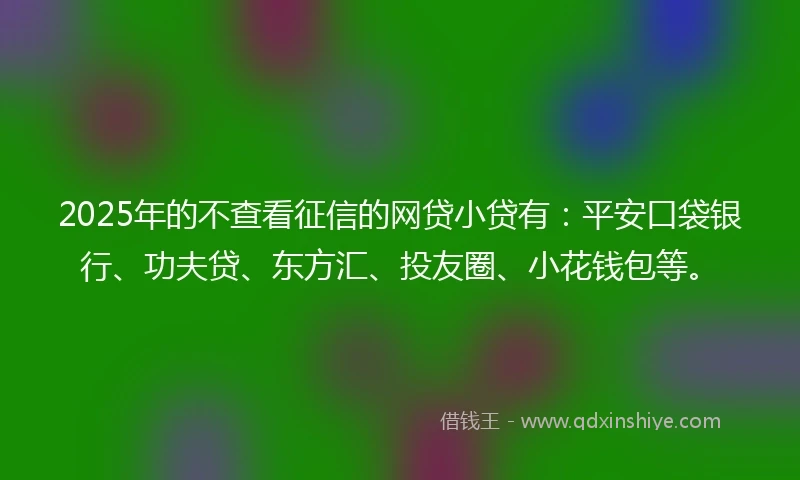 2025年的不查看征信的网贷小贷有：平安口袋银行、功夫贷、东方汇、投友圈、小花钱包等。