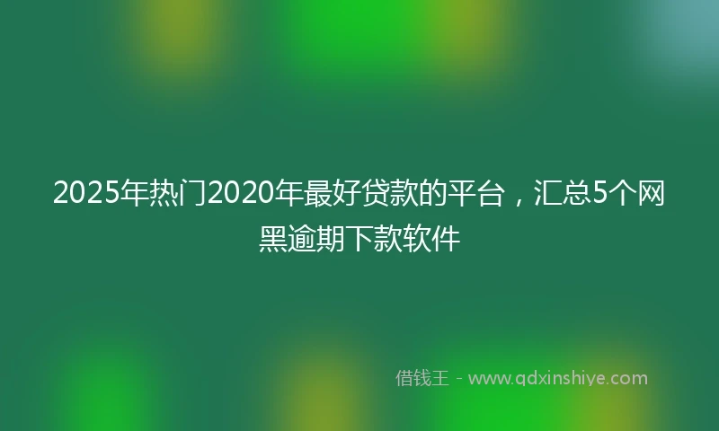 2025年热门2020年最好贷款的平台，汇总5个网黑逾期下款软件