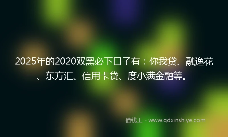 2025年的2020双黑必下口子有：你我贷、融逸花、东方汇、信用卡贷、度小满金融等。
