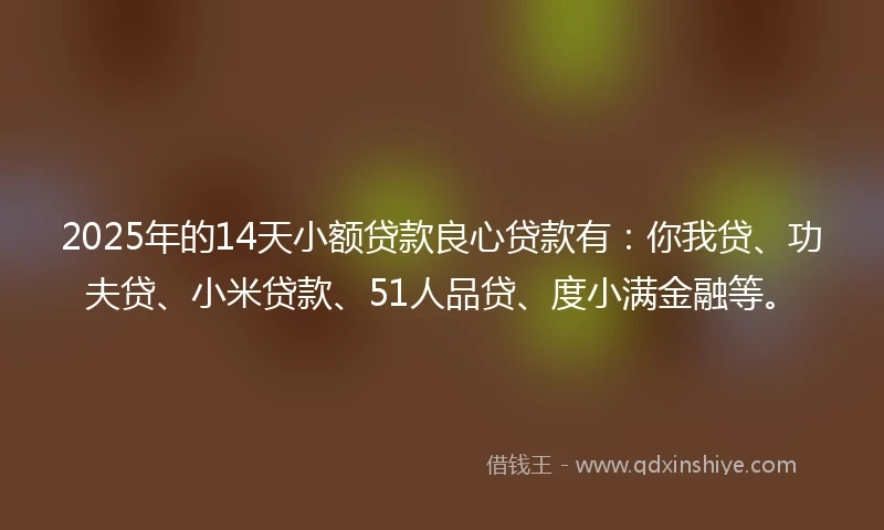 2025年的14天小额贷款良心贷款有：你我贷、功夫贷、小米贷款、51人品贷、度小满金融等。