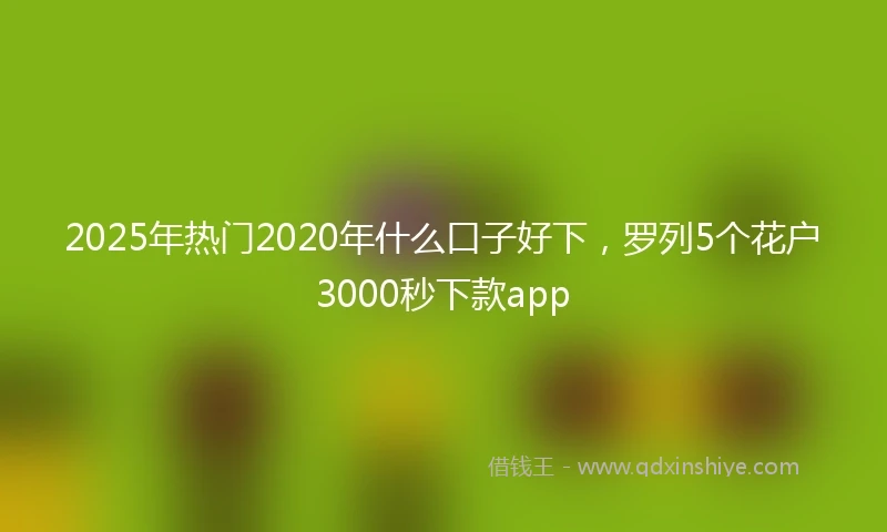 2025年热门2020年什么口子好下，罗列5个花户3000秒下款app