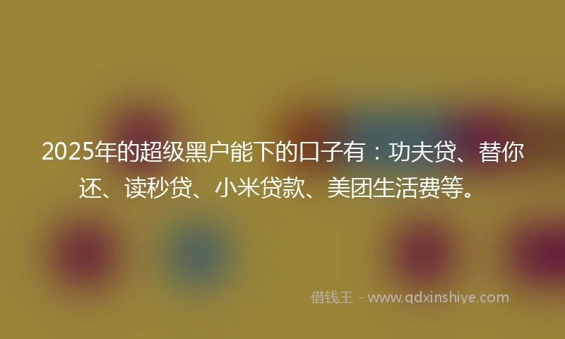 2025年的超级黑户能下的口子有：功夫贷、替你还、读秒贷、小米贷款、美团生活费等。