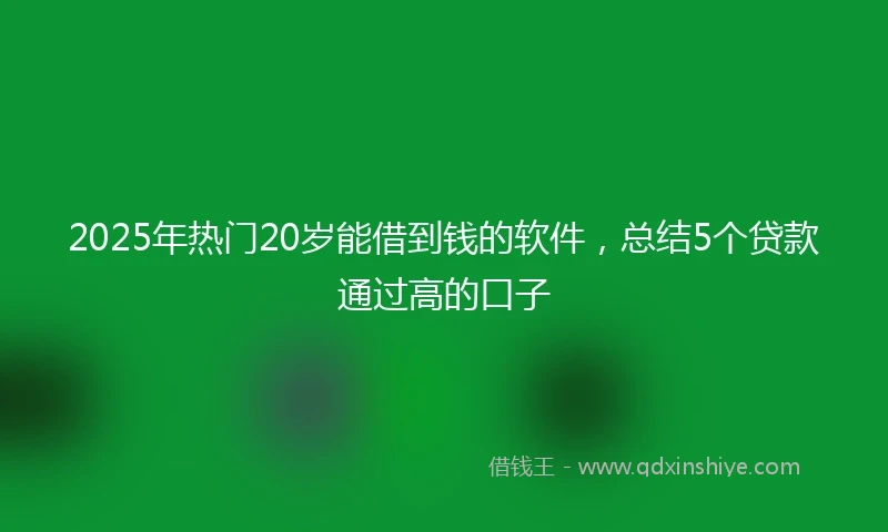 2025年热门20岁能借到钱的软件，总结5个贷款通过高的口子