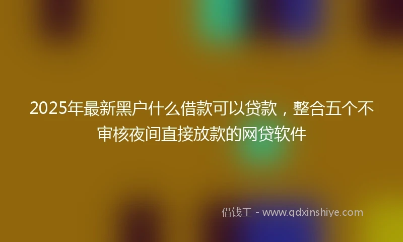 2025年最新黑户什么借款可以贷款，整合五个不审核夜间直接放款的网贷软件