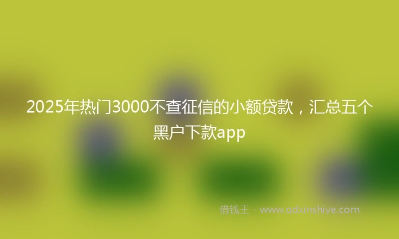 2025年热门3000不查征信的小额贷款，汇总五个黑户下款app