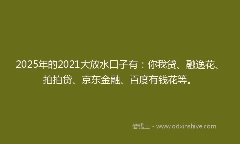 2025年的2021大放水口子有：你我贷、融逸花、拍拍贷、京东金融、百度有钱花等。