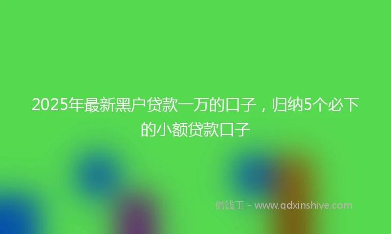 2025年最新黑户贷款一万的口子，归纳5个必下的小额贷款口子