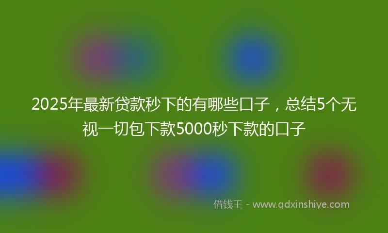 2025年最新贷款秒下的有哪些口子，总结5个无视一切包下款5000秒下款的口子