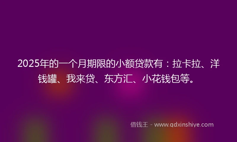 2025年的一个月期限的小额贷款有：拉卡拉、洋钱罐、我来贷、东方汇、小花钱包等。