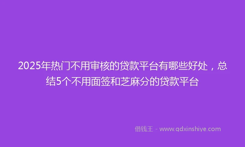 2025年热门不用审核的贷款平台有哪些好处，总结5个不用面签和芝麻分的贷款平台