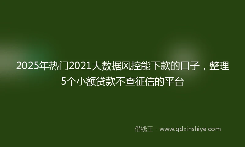 2025年热门2021大数据风控能下款的口子，整理5个小额贷款不查征信的平台