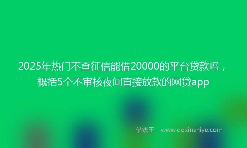 2025年热门不查征信能借20000的平台贷款吗，概括5个不审核夜间直接放款的网贷app