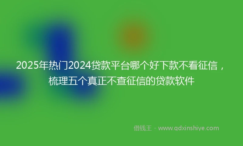 2025年热门2024贷款平台哪个好下款不看征信，梳理五个真正不查征信的贷款软件
