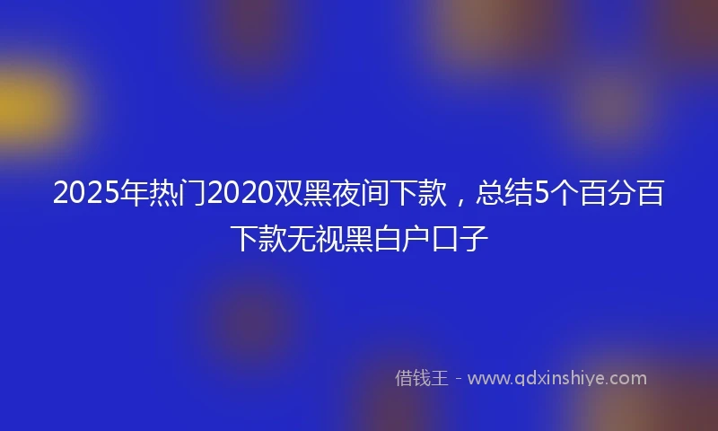 2025年热门2020双黑夜间下款，总结5个百分百下款无视黑白户口子